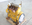 John Deere PowerTech 4045TF Series 8v 4.5L Diesel Engine