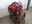 Cummins ISL G 320 Series 24v 8.9L Engine | No Core Fee