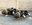 Eaton-Spicer 6.17 Ratio (40kGAWR) Axle Cutoff Tandems