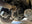 Rockwell RD23 Series 5.38 Ratio (23GAWR) Axle Assembly