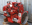 Cummins ISL 345 Series 24v 8.9L Engine